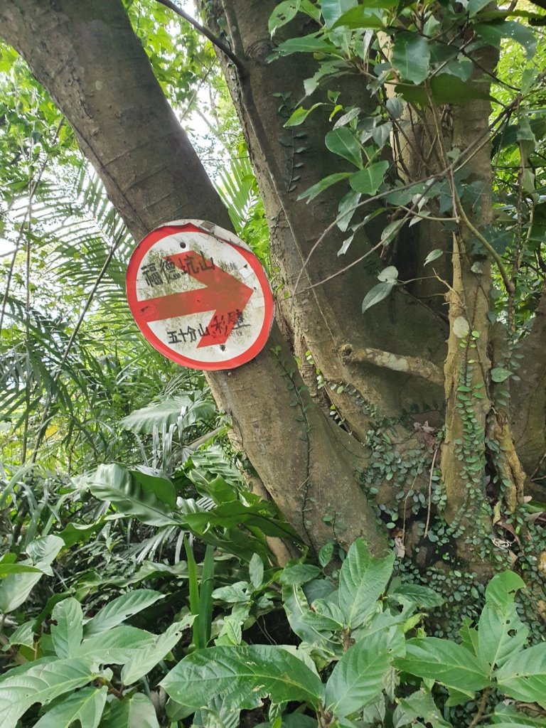 新北市－鳶山_1234262