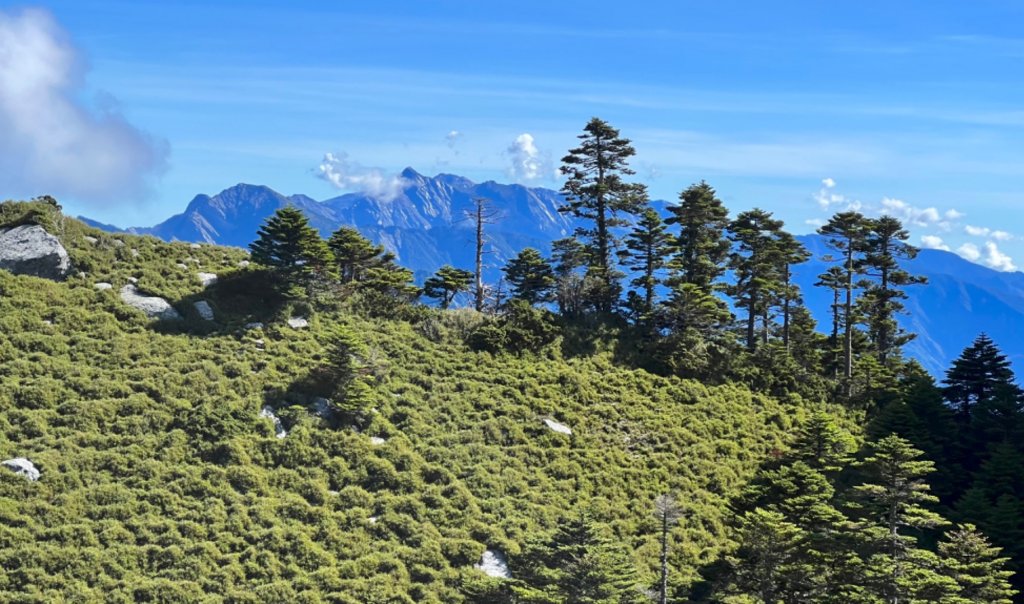 磐石山的水鹿_1777305