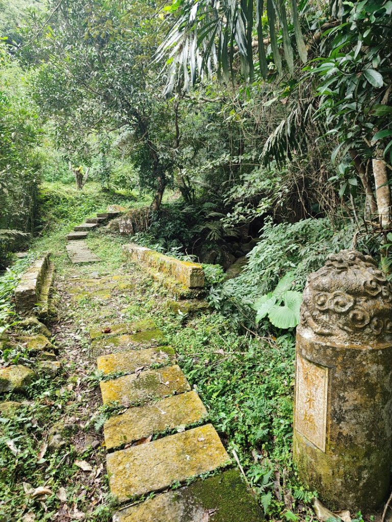 九讚頭車站-大崎棟.茶亭.逃學.騎龍古道20幾K繞大O_2972500