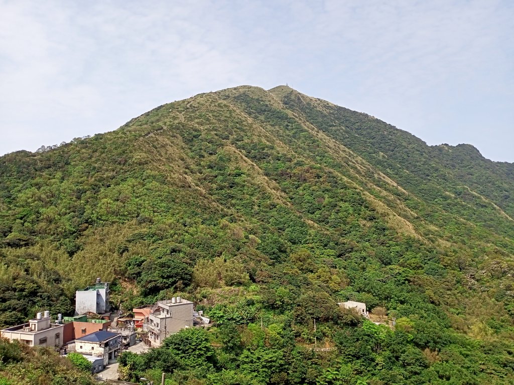 【小百岳集起來】落英繽紛、視野遼闊基隆山_1293313