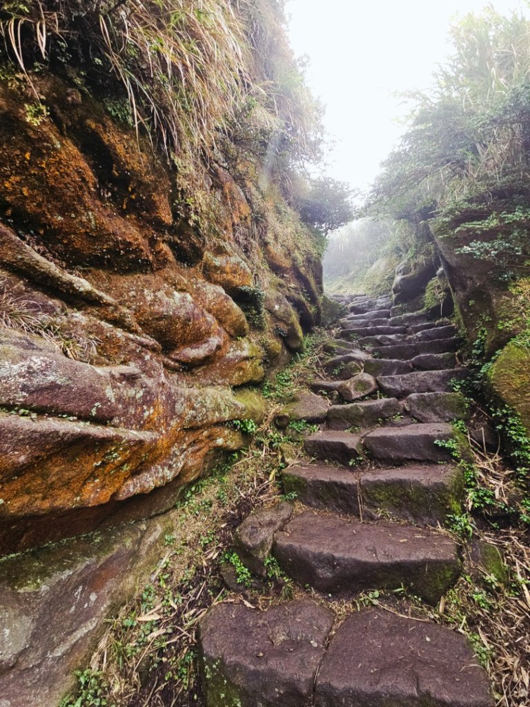 2025臺北大縱走第三段：小油坑至風櫃口_2973455