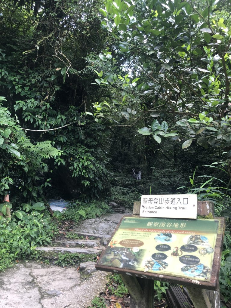 【宜蘭礁溪】抹茶山~超消暑聖母登山步道_640579