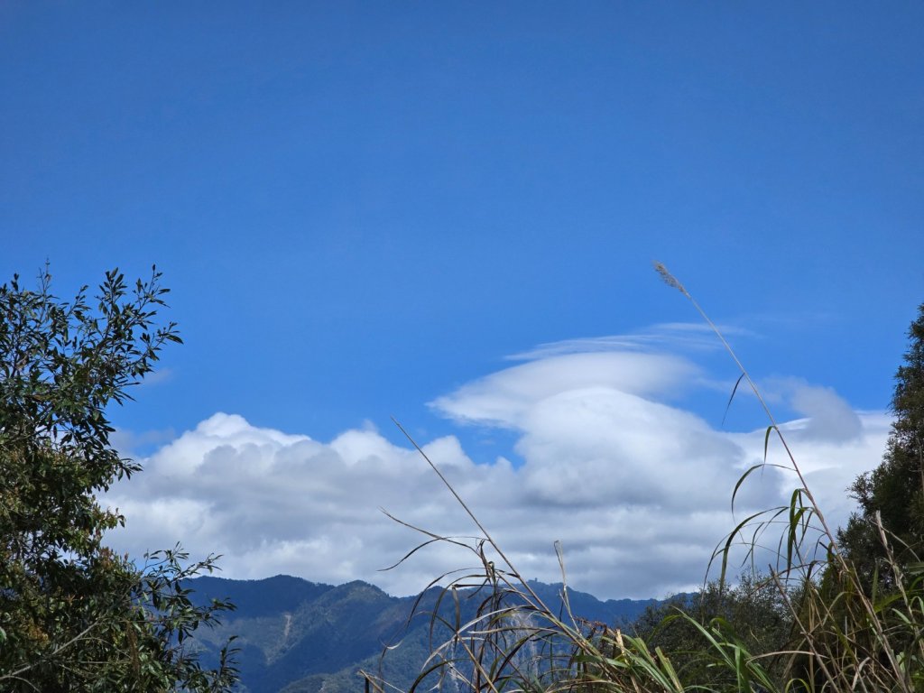 谷關七熊馬崙山_2748780