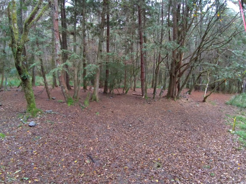 【花蓮縣秀林鄉】屏風山(單攻)_1231982