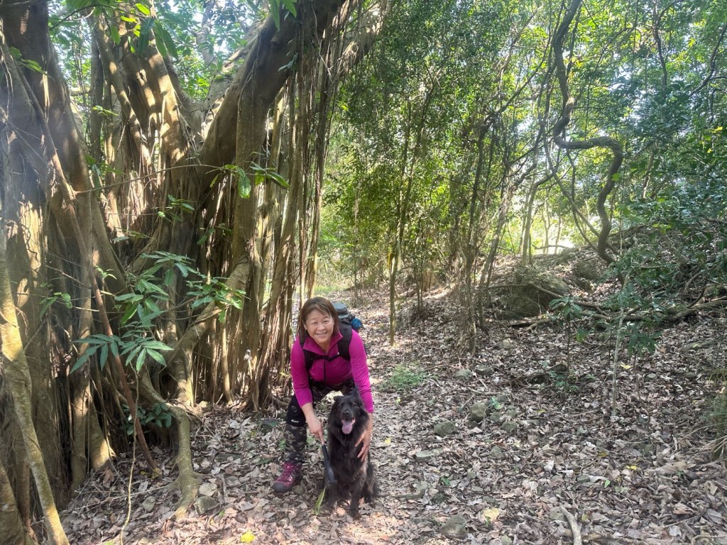 高雄美濃月光山_2734925