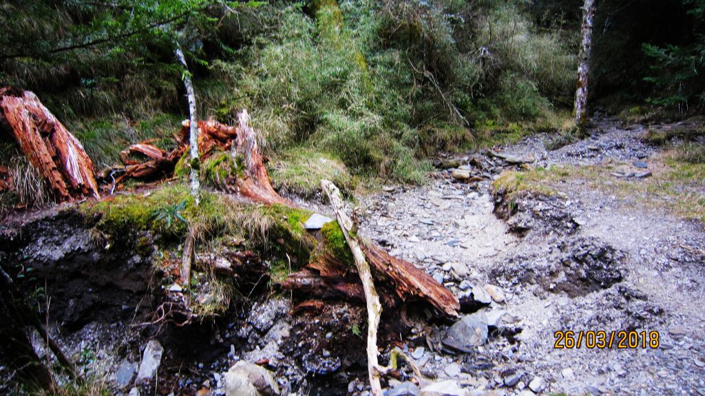 閂山、鈴鳴山 ~ 山巔雲端 , 與美麗山林_307105