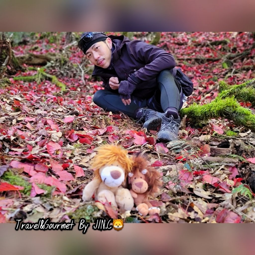 【羅馬沒有假期之重裝縱走】羅馬羅縱走_2039281