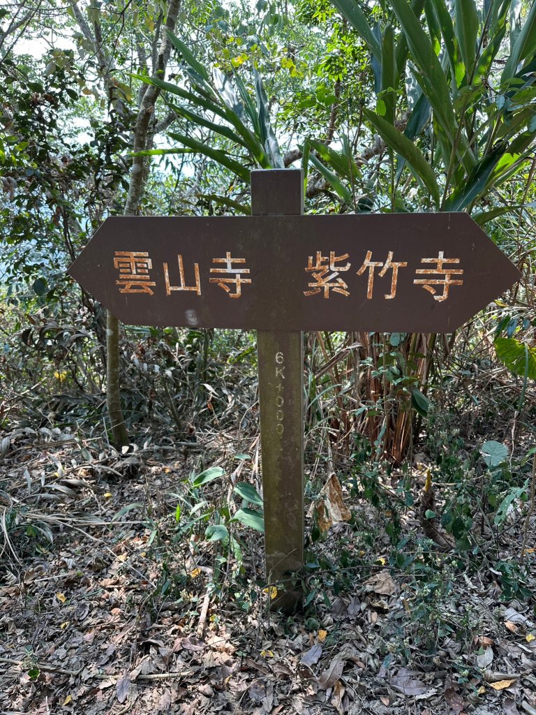 紫竹寺禮佛健走到刣牛湖山_2105971