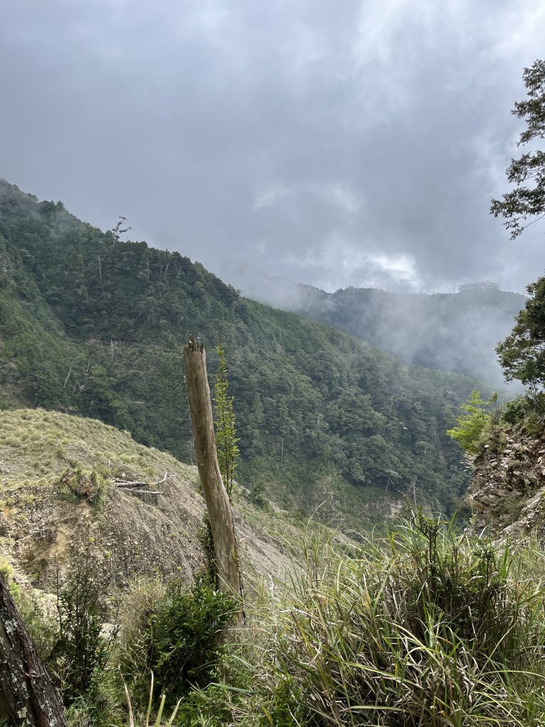 小關山林道神池營地20231022_2326095