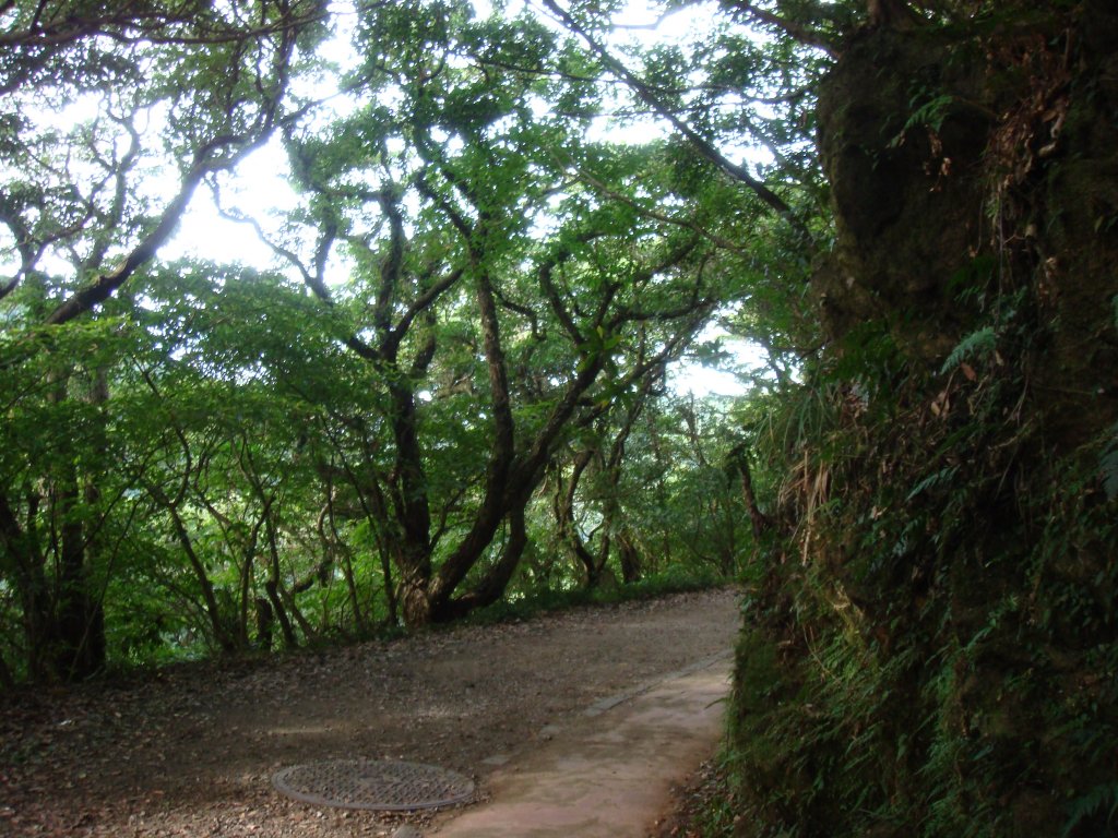 大屯群峰步道(大屯主、南、西峰連走)_1682284