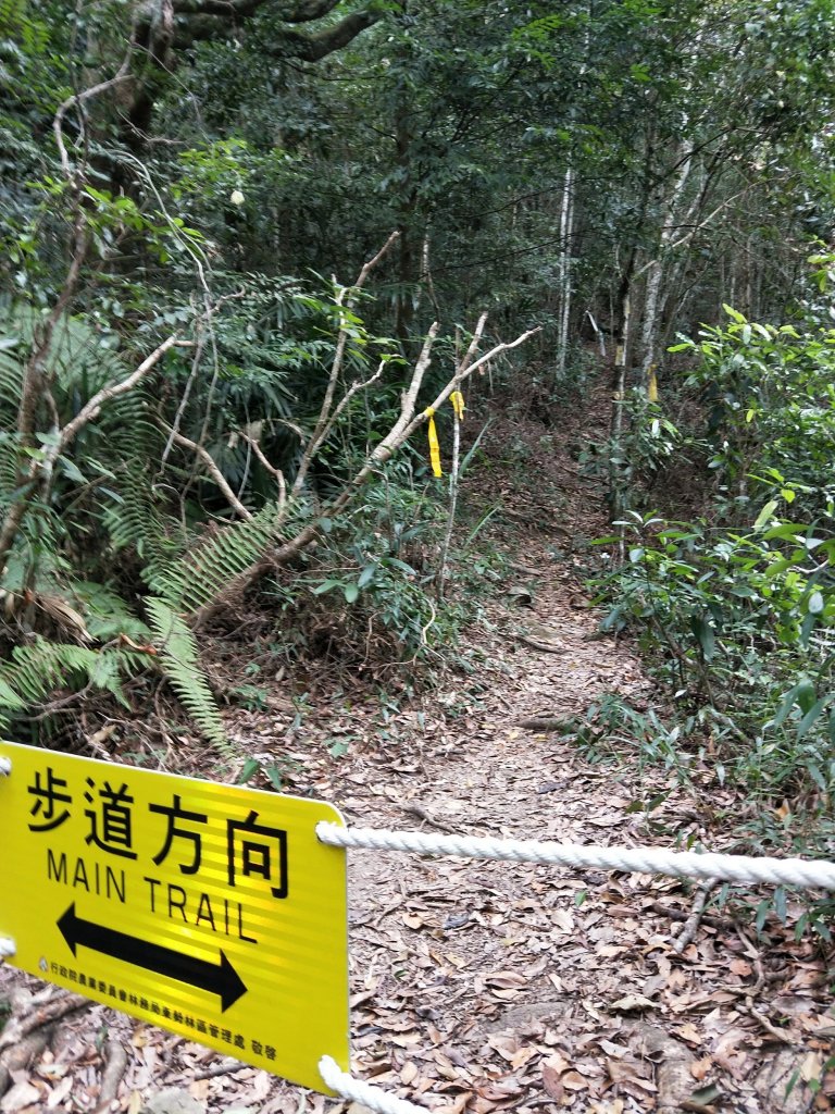 唐麻丹山(裡冷吊橋進)_1169348