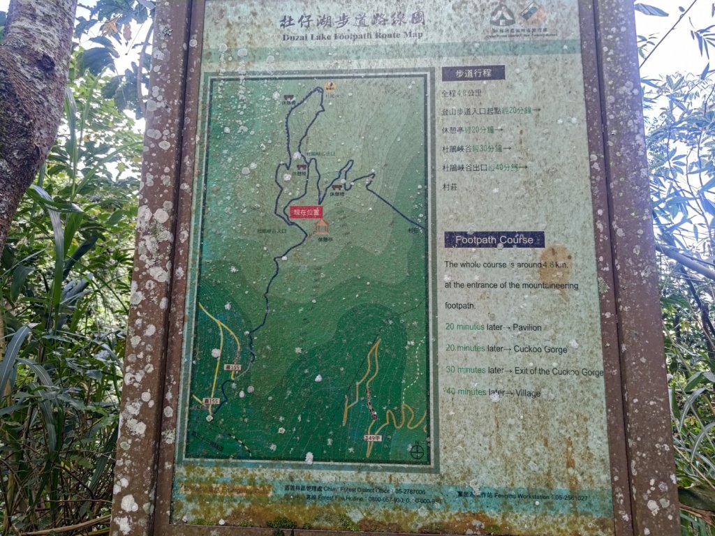 回歸自然的杜仔湖步道上雙子山封面圖