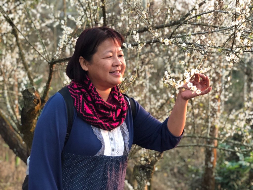 竹子尖山到獵鷹山_473248