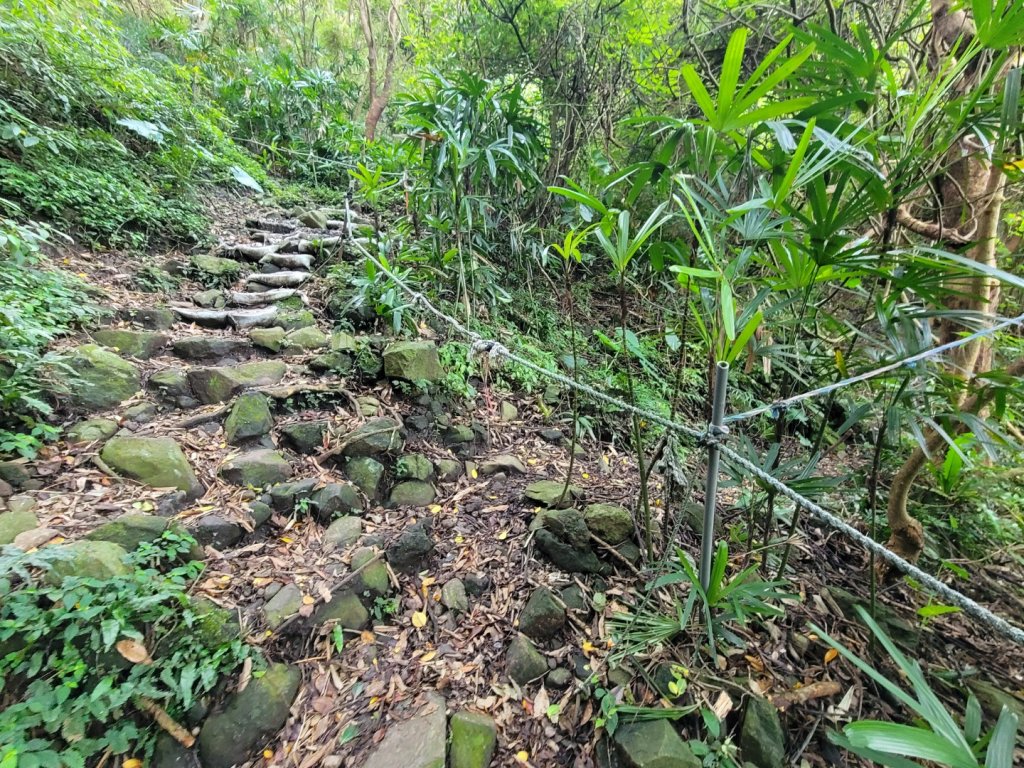 20230819觀音山十九連峰8字縱走_2255076