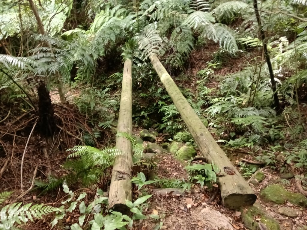 汐止區夢湖保線路+單車夢湖路O型封面圖