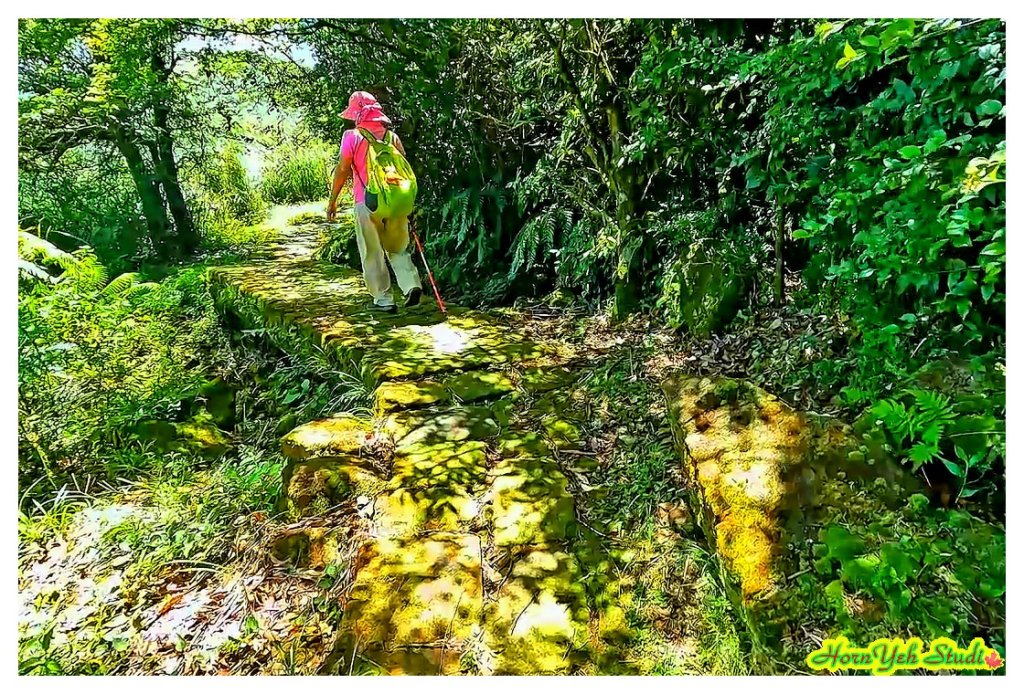 北環段七星山人車分道 七星瀑布 夢幻湖 下冷水坑泡腳趣_2864590