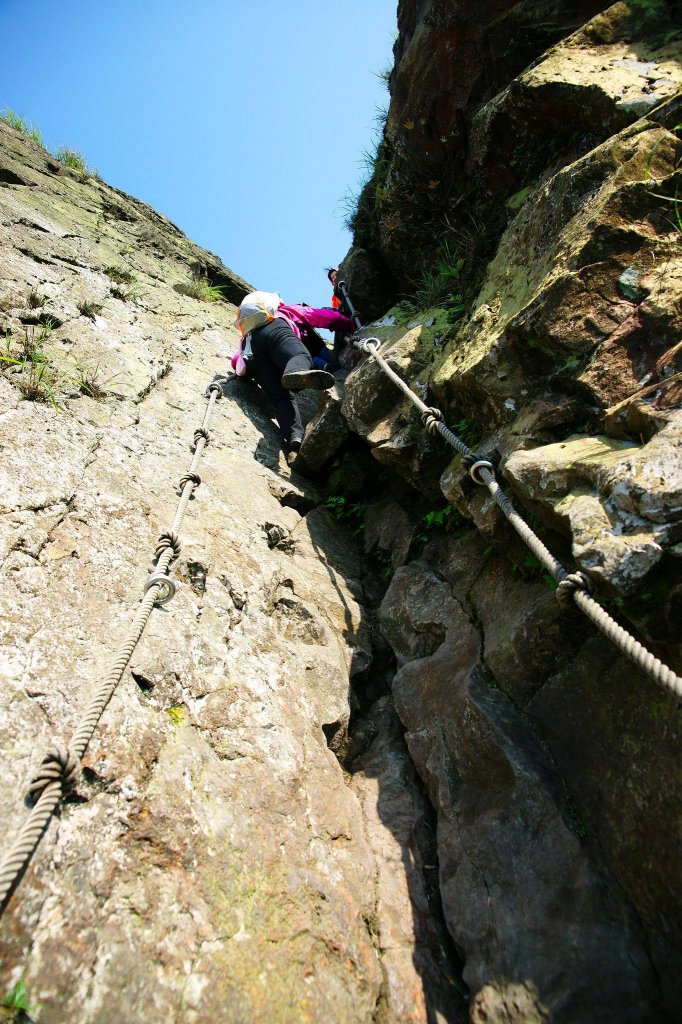 燦光寮古道與黃金三稜_554327
