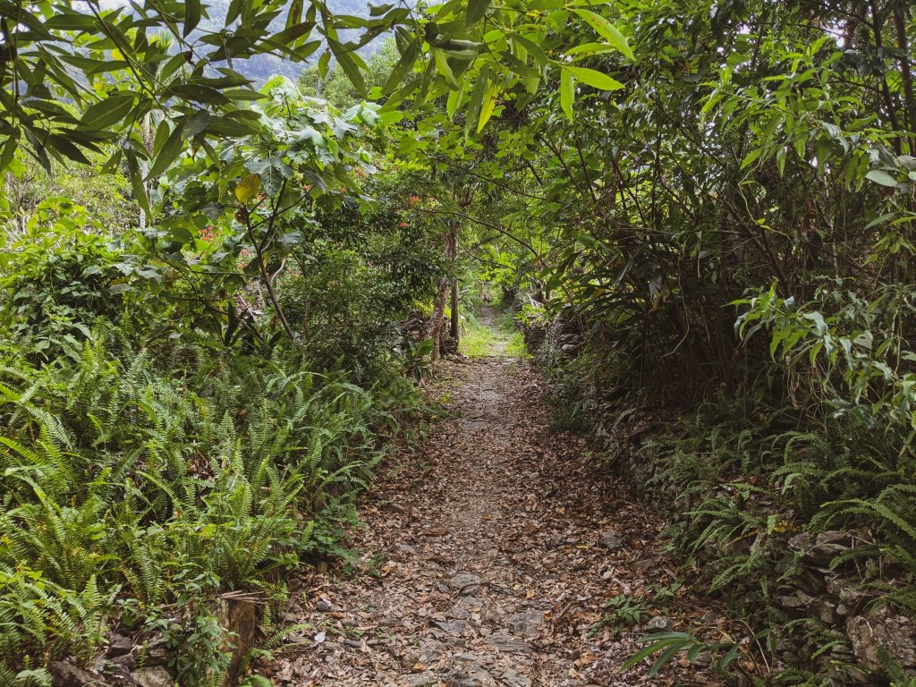 【三地、舊達來】獵人不走的路 - 田良井_1514464