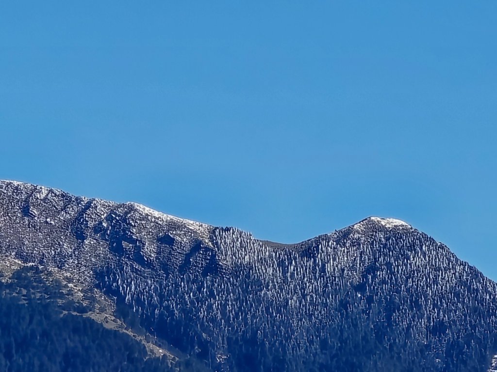 大雪山國家森林遊樂區賞楓／看神木／賞雪白山頭／賞大景_2974210