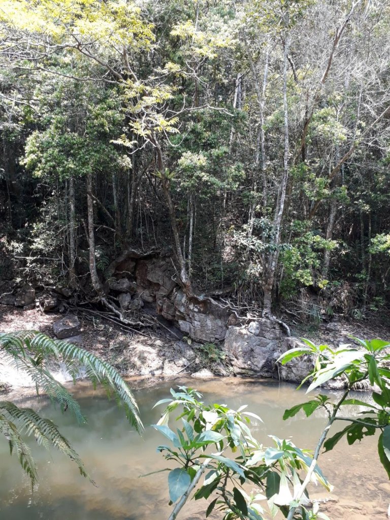 南投魚池澀水生態步道20190409_563543