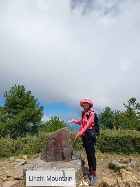 【南投信義】媲美百岳美景。 麟趾山鹿林山O型_1859447