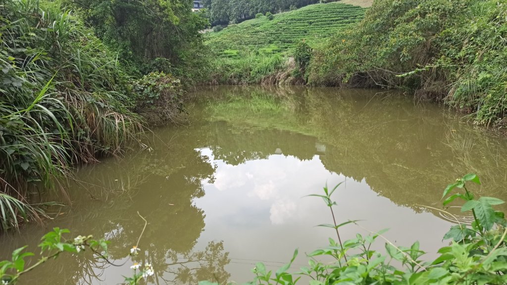 貓㘓山健行_2177268