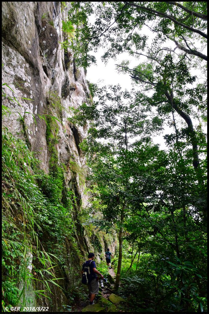 大溪。白石山 訪 艷紅鹿子百合_396254