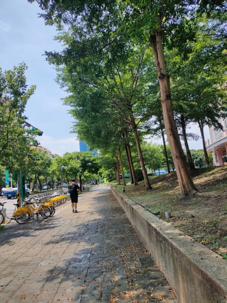 ［健康大穀東］（27~28）：天母運動公園+美崙公園（2023/8/11）_2253689