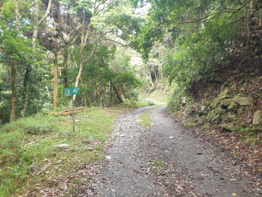 20221010裡冷林道上眉原山_1887027