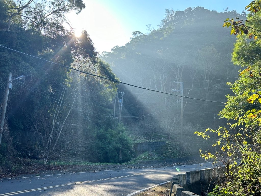 苗栗三義-三員縱走_2616395