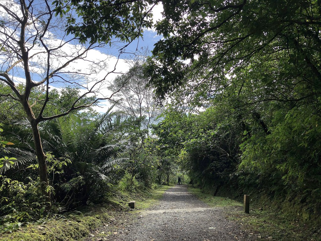 ~  佐倉步道  ~_2050415