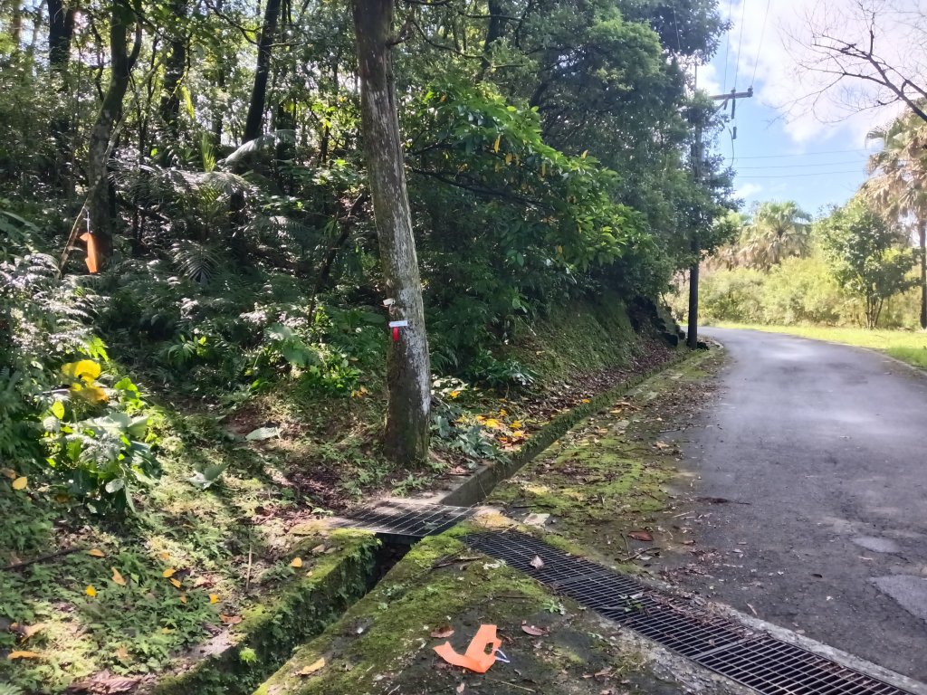 雙溪區雙坪一號橋+盤山坑山+土地公山+474峰+石硿子越嶺古道O型_2936457