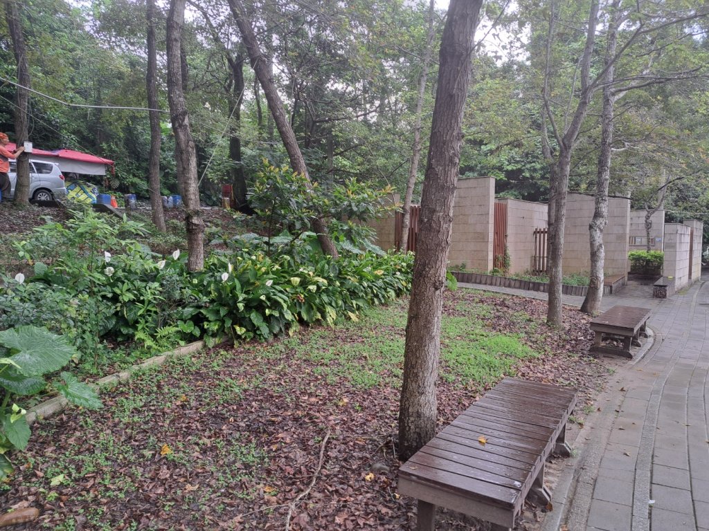 桃園石門山步道封面圖
