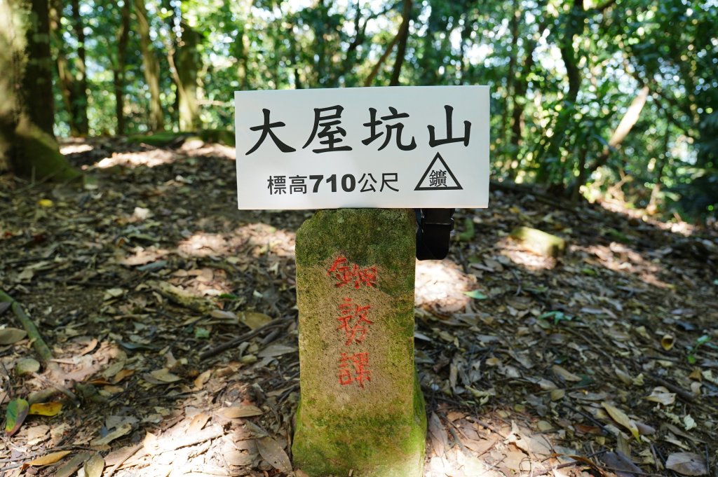 苗栗 南庄 神桌山、大屋坑山、細湖頂山、象山_2533583