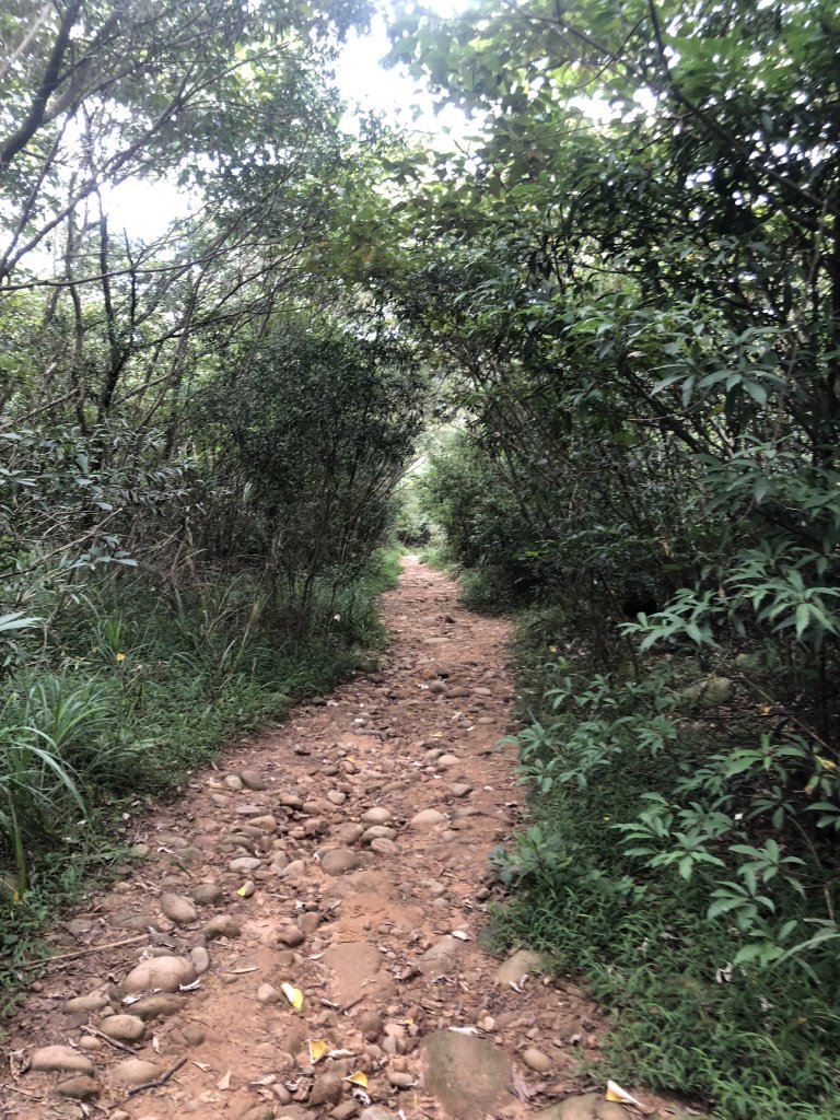 【苗栗三義】火炎山~輕鬆漂亮的小百岳_630392