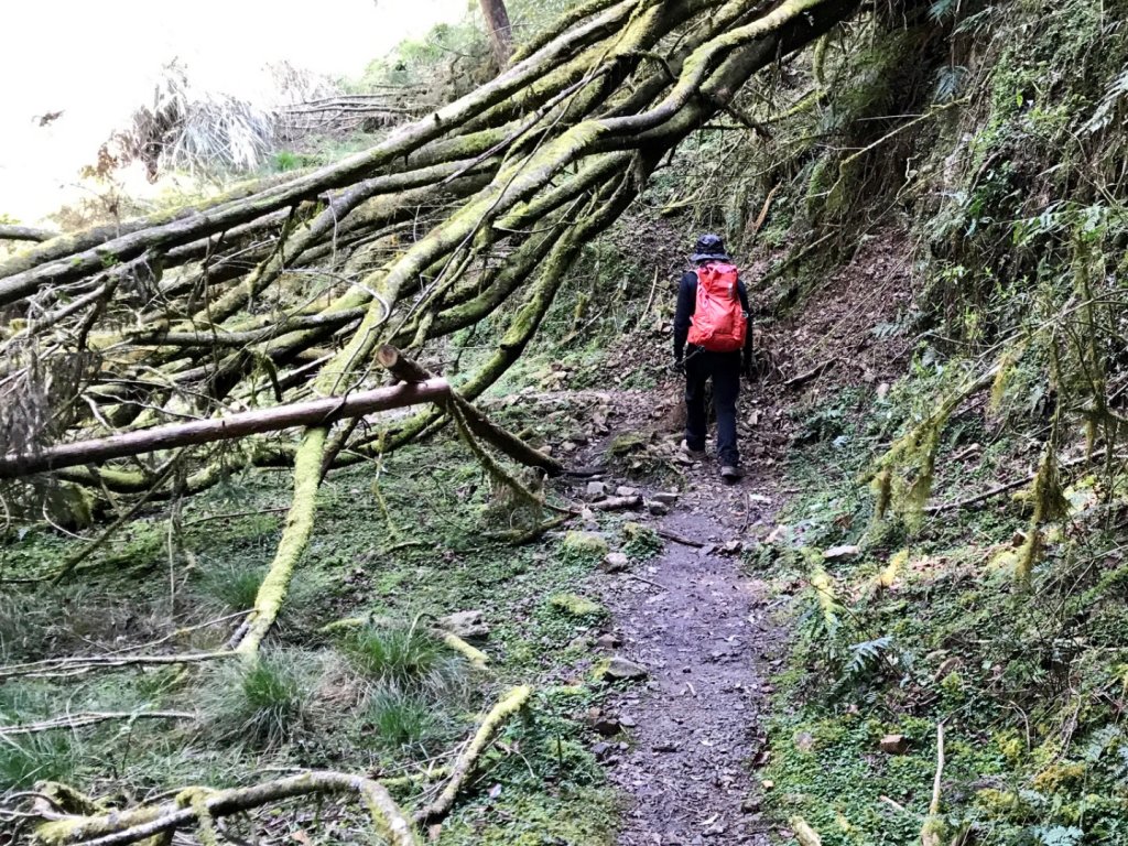 石山 石山引水道_551413