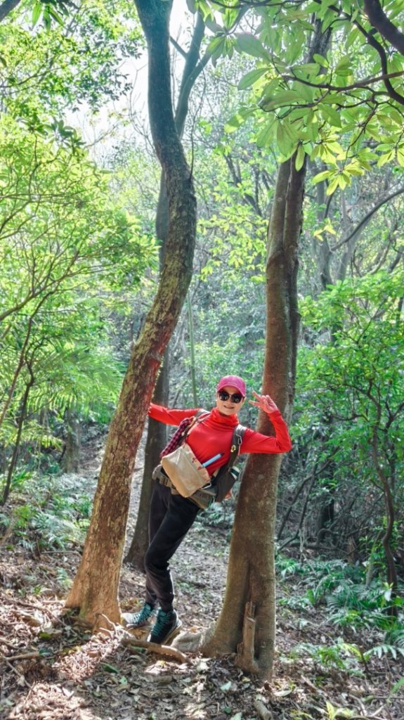 粗坑口尖.碇內尖.龍門山O型_2985771