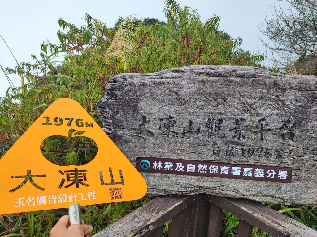 奮起湖大凍山-小百岳#60-嘉義縣竹崎鄉_2441018