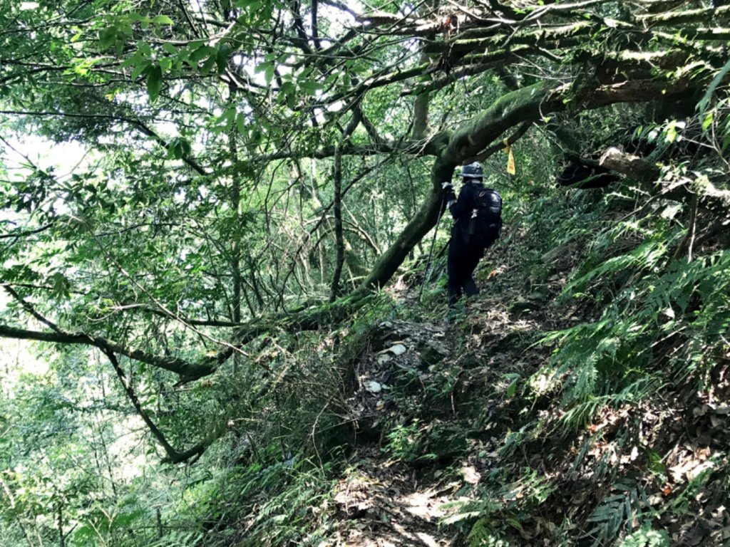 馬海濮富士山健走_572239