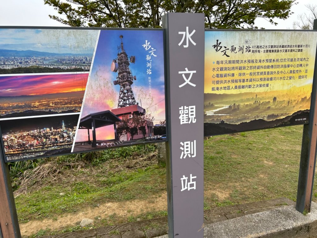 新北樹林-大棟山-小百岳015_2448223