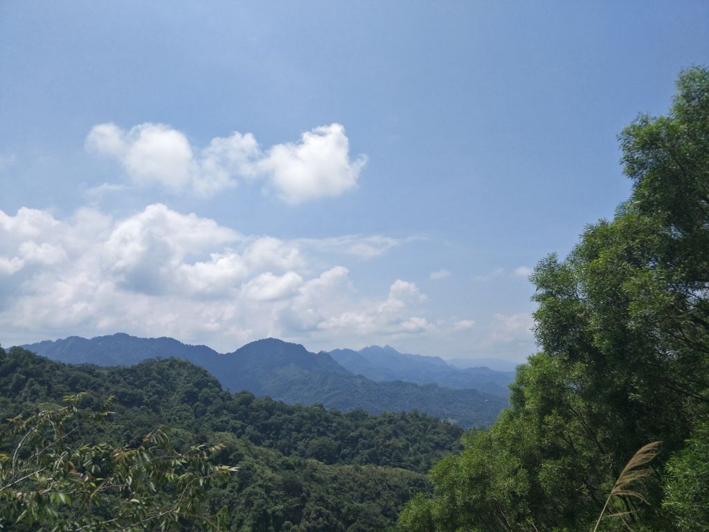 大坑4號步道&頭嵙山_374921