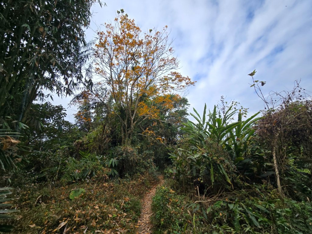風空子山_2983219