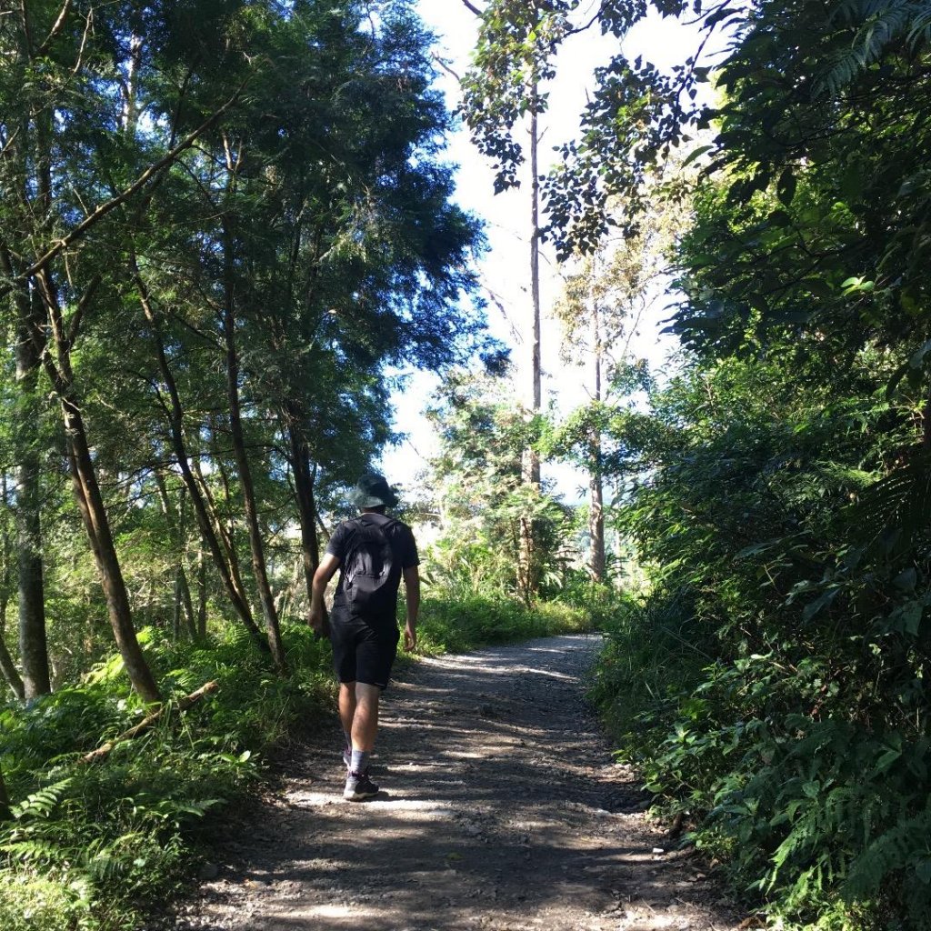 聖母山莊步道封面圖