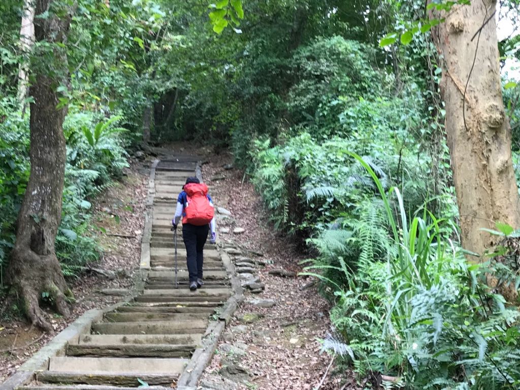 西邊飄雨東邊晴 花蓮鯉魚山_391332