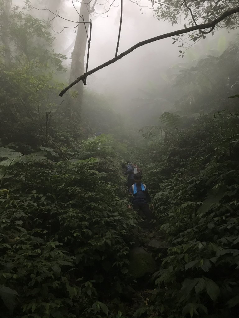 五指山之龜_915887