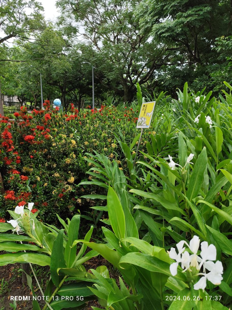 大安森林公園、寧夏夜市、士林夜市【走路趣尋寶】【臺北健走趣】_2536318