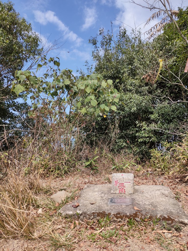 20200307白雲山_880040