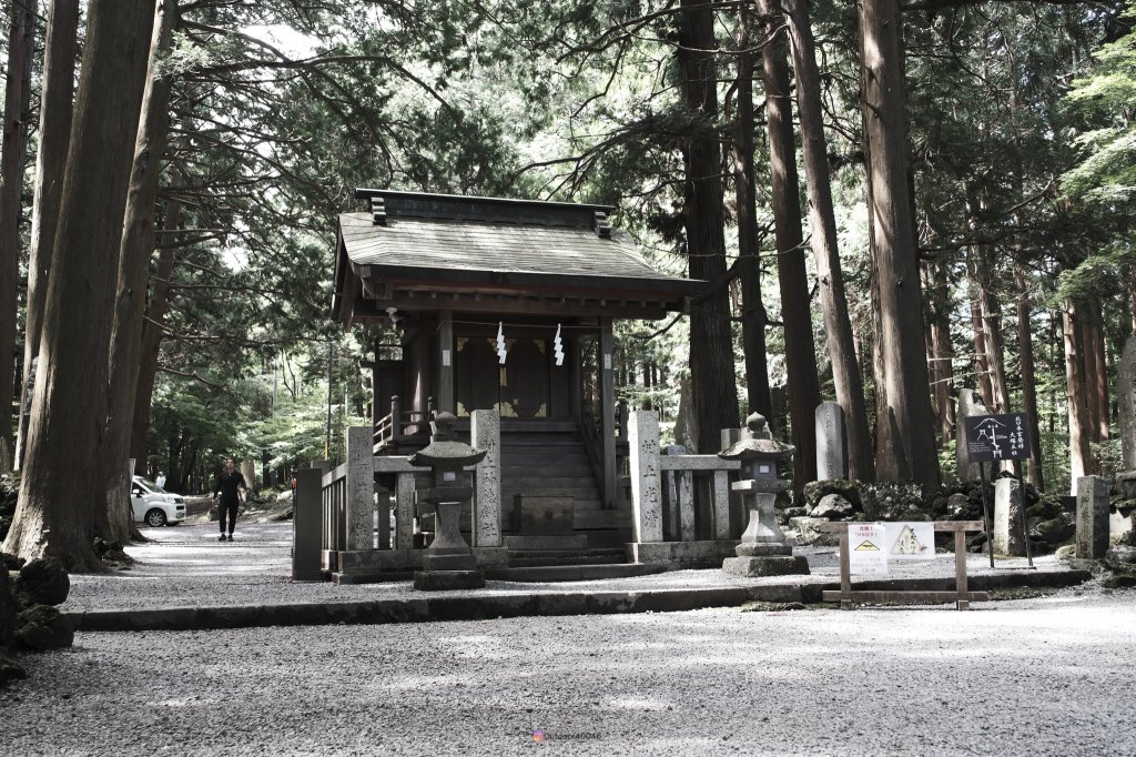 2024富士山_2599455