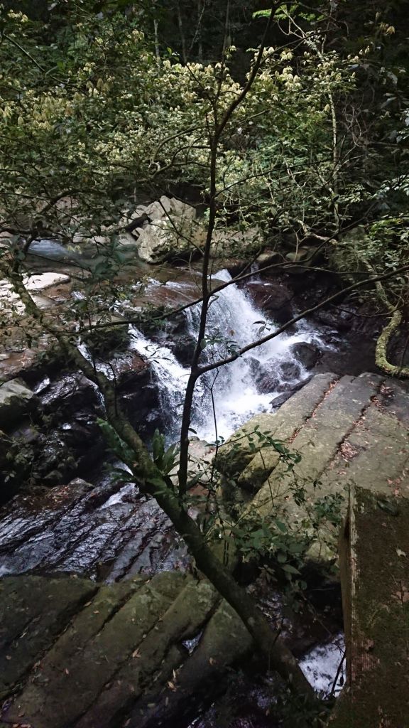 菲比登山社LAMB滿月圓瀑布初體驗_335261