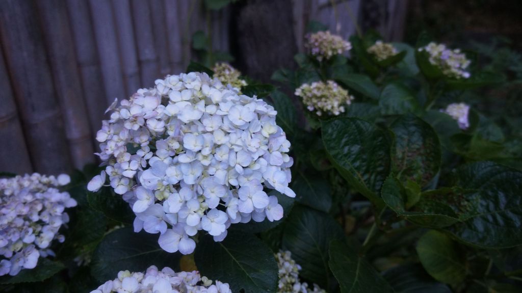 向天湖山之趣_400034